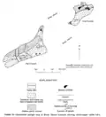 Brady Nunatak Nickel-Copper geological map