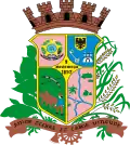 Official seal of Ibirama