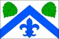 Flag of Březolupy