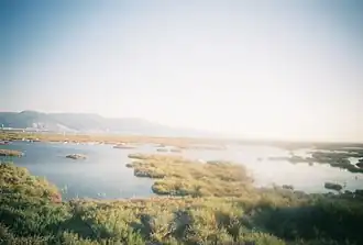 An overexposed image of a marsh, with calm flat waters in every direction, peppered with small islands of grass. The sky is bleeding over the rest of the image, and some hills can be seen in the distance, not fully obscured by the glare.