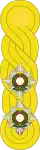 1881 to 1902 captain's rank insignia