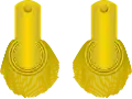 Colonel