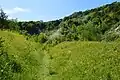 Brockham Limeworks