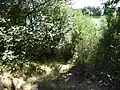 Broome Heath Pit