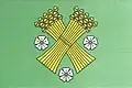 Flag of Brzice