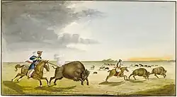 Buffalo Hunting in the summer (1822)