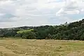 Bukovac - panorama