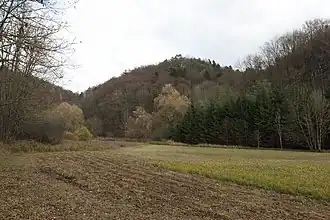 View of the Altschlossberg from the Brunnengraben valley to the west (November&nbsp;2013)