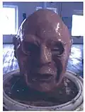 Bust of Theodore Baird, by Susan Mohl Powers