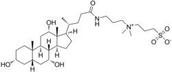 Structural formula of CHAPS detergent