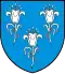 Chancy