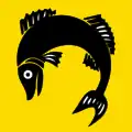 Flag of Fischbach