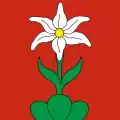 Illgau
