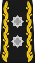 Divisionär (French: Divisionnaire) (Swiss Army)[28]