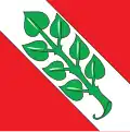 Flag of Rossa