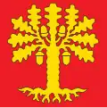 Flag of Moesa Region