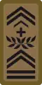 WO-4 - Chief warrant officer