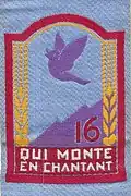 Insignia of CJF 16 (second model).