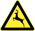 Wild animal area