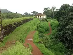 Walls.