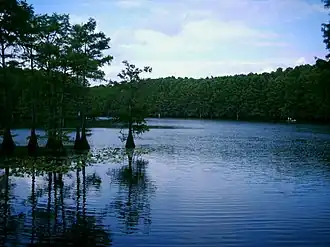 Lake Caddo
