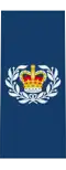 Royal Canadian Air Force
