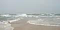 Confusing wave patterns at the beach at Cape Lookout point. Waves are coming from several directions.