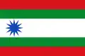 Flag of Carbajales de Alba