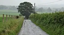 Carson's Lane, Hillhall
