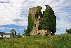 Cloonboo Castle