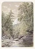 Catskill Clove in Palingsville, 1856, Metropolitan Museum of Art
