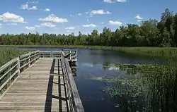 Cedarburg Bog