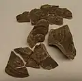 Ceramic fragments found with the hoard.