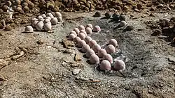 Salt balls in Borkou province, Chad