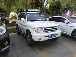 Leopaard Feiteng