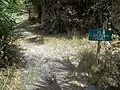 Old Datsun Trail