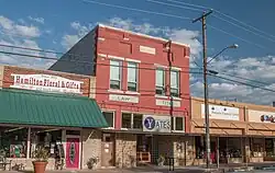 Chelsey Building