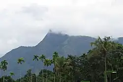 A village
