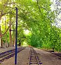 Tracks