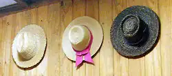 Chupalla