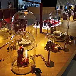 The buffet of the five senses