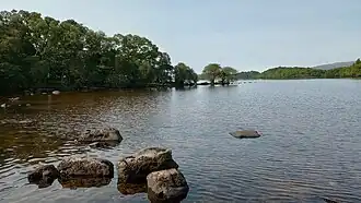 The island in 2024