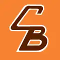 This logo idea was designed to be used on the helmets for the 1965 season. It never appeared in any games (preseason or regular season).
