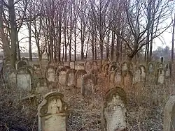 Historic Jewish Cemetery in Ożarów