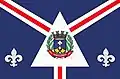 Flag of Conceição da Aparecida