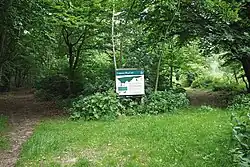 Copperas Wood