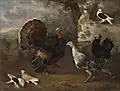 Fowl, Museum of Fine Arts, Budapest