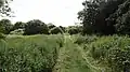 Path in Covert Way