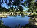 The koi pond.