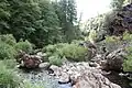 Mendocino National Forest
